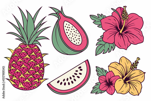 Tropical fruits and hibiscus flowers illustration