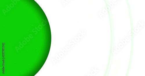 Abstract Green and White Background with Curves