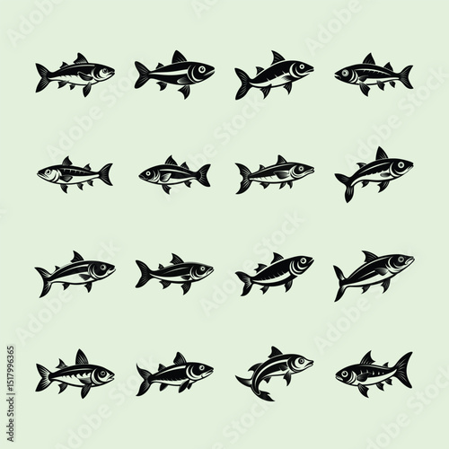 White Cloud Mountain Minnow, aquarium fish vector art illustration
