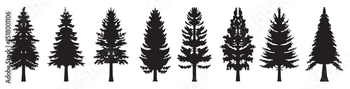 pine tree silhouette design template