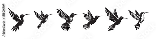 hummingbird silhouette vector illustration
