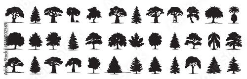  illustration black tree silhouettes oak maple palm pine cedar more white background.
