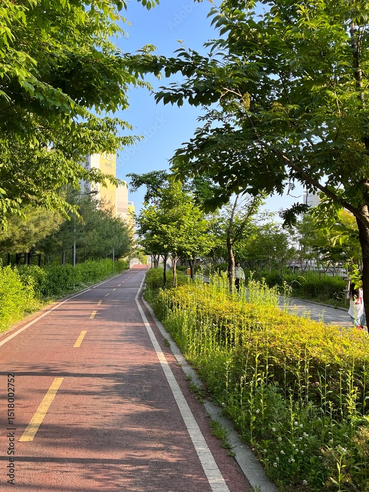 Obraz premium 공원