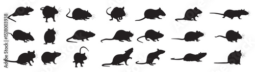 rat mouse animal silhouettes set