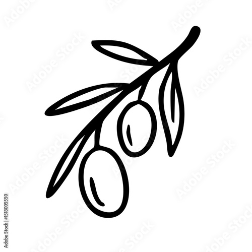 オリーブ　線画　手書き