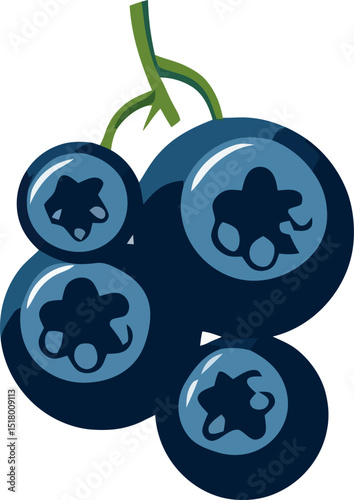 Fresh blueberries hanging on a vine ready for harvest during late summer in a sunny orchard