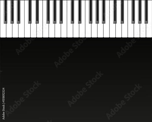 musical instrument row of black and white keys vector illustration