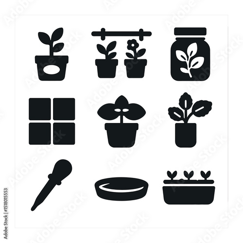 Kitchen Plant Icon Set. Solid, filled icons set of kitchen plant aesthetics: spice plant pot, herb wall rack,
