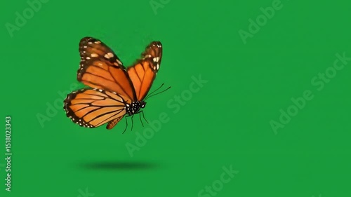 Orange butterfly in flight against green background
