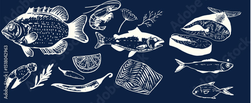 Incredible Hand Drawn Seafood Vectors