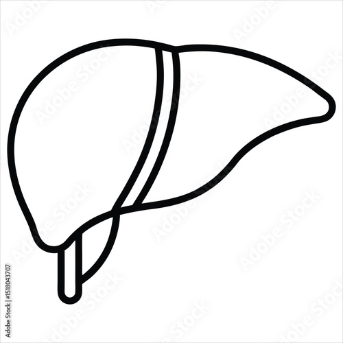 Human liver icon outline isolated on white background