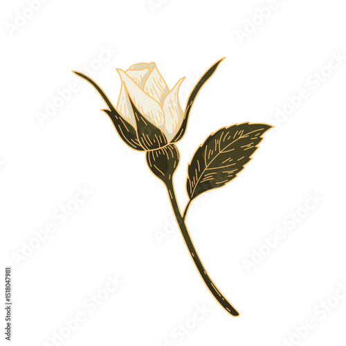Vintage White Rose Bud with Leaves. Hand Drawn Botanical Floral Vector Illustration.