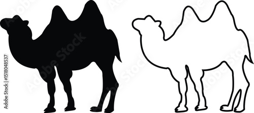 Desert camel flat, outline vectors silhouette set. Sand animal transport, egypt arab travel mammal with hump, camel portrait illustration signs. Elements for holiday of sacrifice and for eid al-adha.