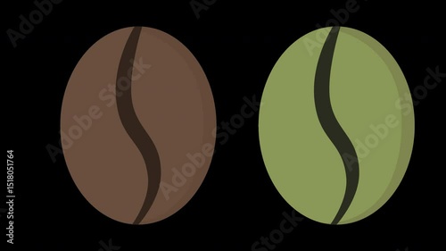 Coffee bean stages ripening process illustration on a Transparent Background