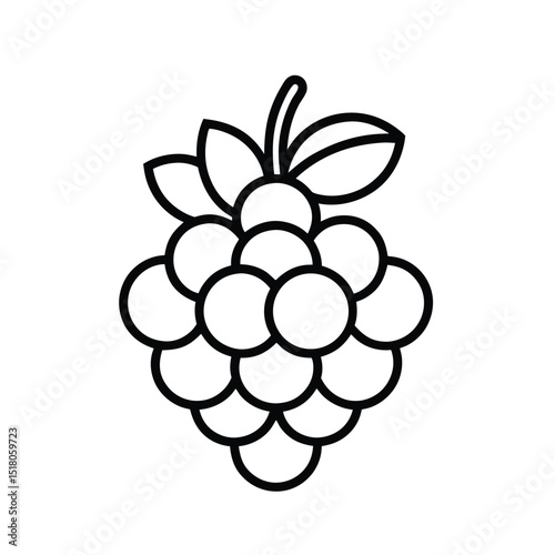 Grape Fruit Outline Vector Icon Design Simple Clean Line Art Illustration on a White Background for Graphic Design Projects