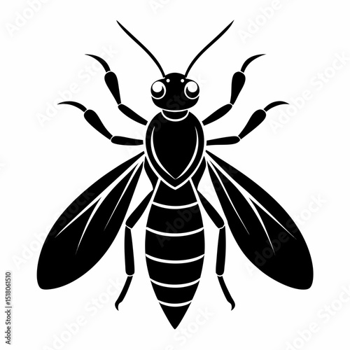 vector illustration of a wasp