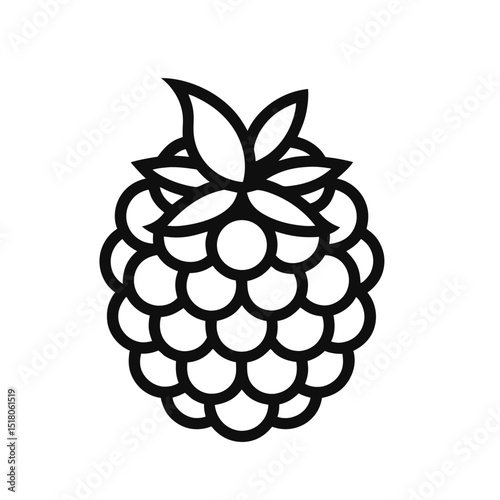 Blackberry Fruit Outline Vector Icon Illustration on a White Background Suitable for Design Projects Websites and Mobile Applications Simple and Clean