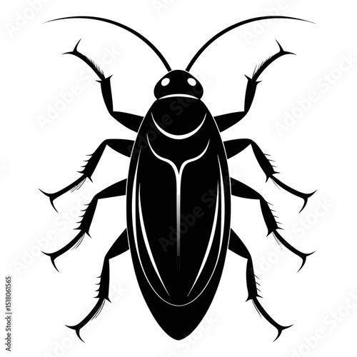 colorado potato beetle