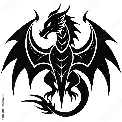 dragon fierce powerful wings black and white