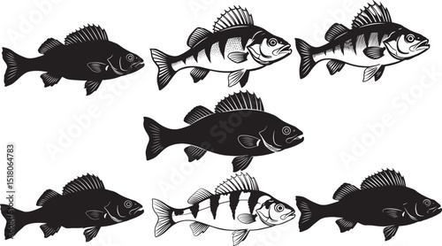 Perch fish silhouette vector illustration