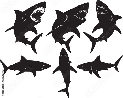Shark fish silhouette vector illustration