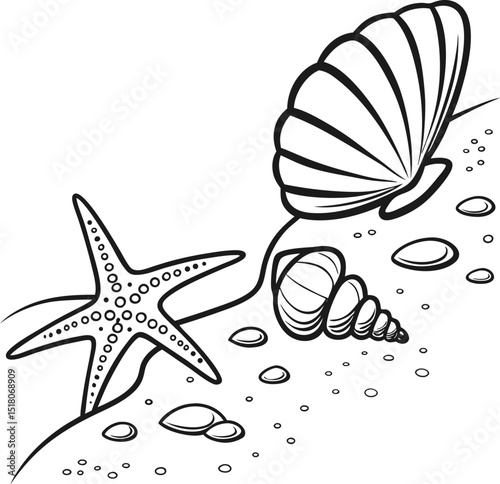 A vibrant collection of natural seashells and starfish on the sand, perfect for a summer beach vacation
