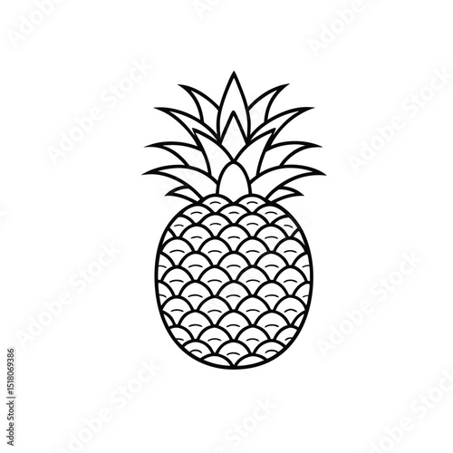 pineapple vector illustration