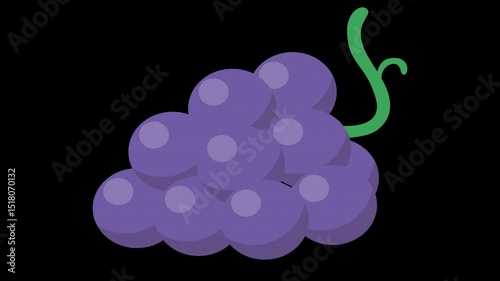 Delightful Purple Grapes Animation on a Transparent Background with Green Vine