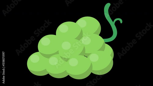 Fresh Green Grapes Animated, Appetizing Fruit, Healthy Eating Illustration on a Transparent Background