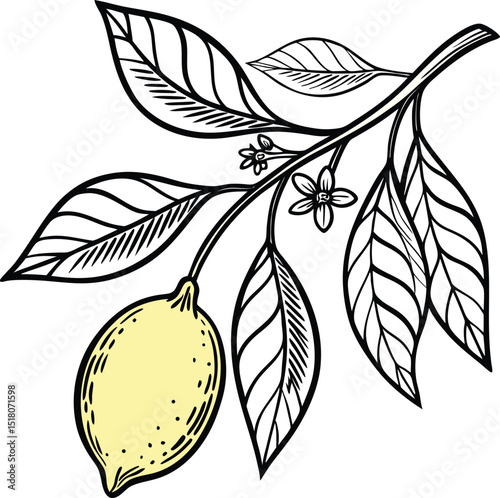 Branch with leaves and a vector apple illustration, showcasing a floral pattern design of a plant on a seamless nature background