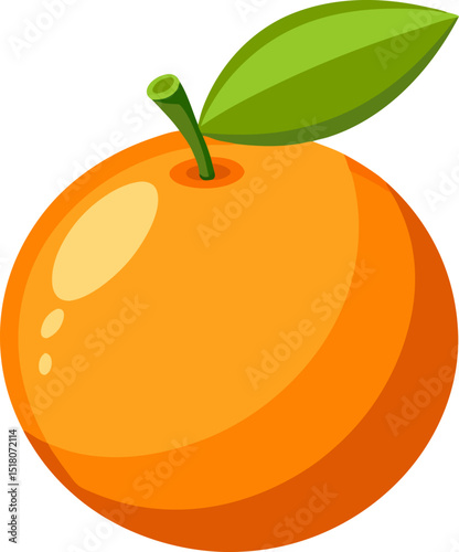 orange fruit vector illustration