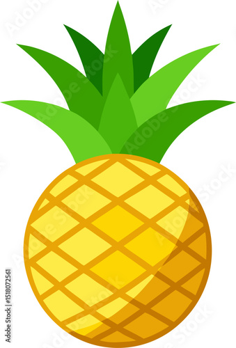 pineapple vector illustration