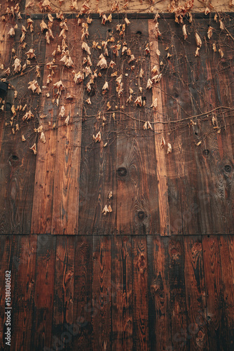 An old wooden vertical wall with a dark, rich brown tone with the top section of the wall