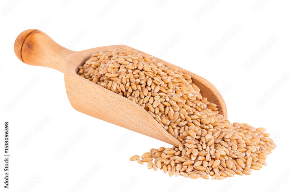 wooden scoop filled with healthy grain isolated on white background wooden scoop filled with healthy grain isolated on white background