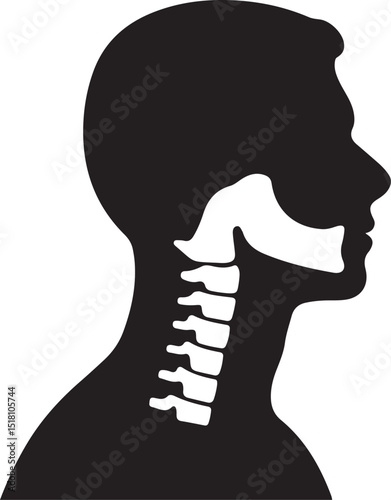 Human Anatomy Cervical Spine Neck Profile Silhouette