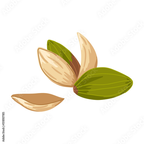 Pistachios vector composition with shelled and whole nuts. Hand drawn cartoon illustration for snack branding, healthy food packaging, menu visuals, stickers, apps
