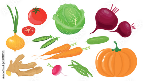 Set healthy vegetables in cartoon style. Vector illustration of delicious products: onion, tomato, pea, cabbage, beet, cucumber, carrot, ginger root, radish, pumpkin isolated on white background.