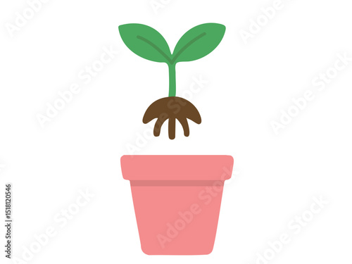 Young plant sprout with green leaves and roots above empty pink flower pot, isolated on white background, graphic illustration. concept of planting a plant, gardening, seedling, botany, nature