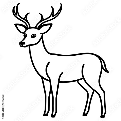 deer vector illustration