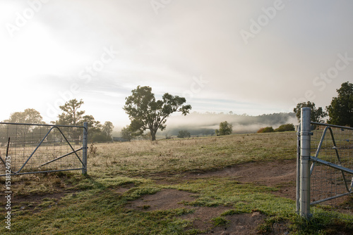 Open gates leading to expansive paddock on foggy morning photo