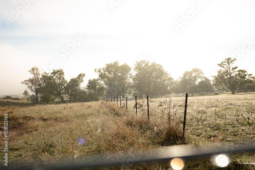 Fence boundary line in rural Australia on foggy morning photo