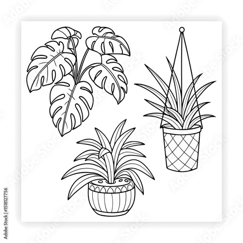 Hand Drawn Garden Tools and Plants