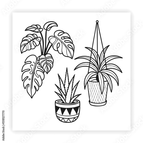 Hand Drawn Garden Tools and Plants