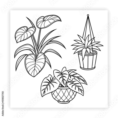 Hand Drawn Garden Tools and Plants