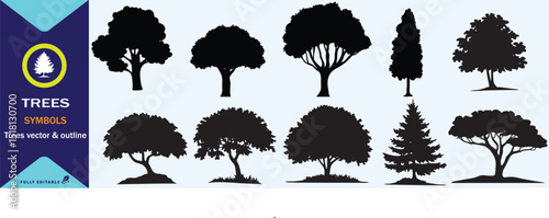 DIFFERENT KINDS OF TREE  BLACK AND WHITE