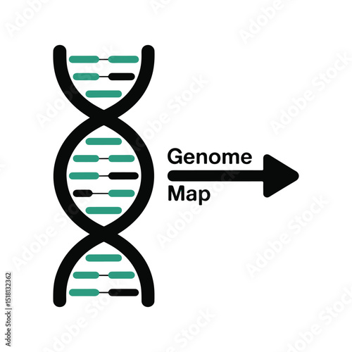 Genome Map DNA
