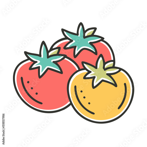 vector illustration of tomato