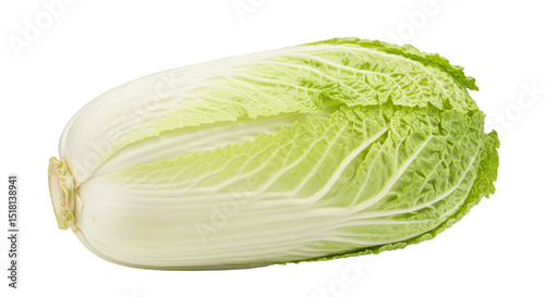 Tableau sur toile Isolated Napa Cabbage