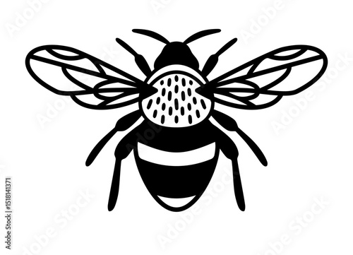 Black and white vector illustration of honey bee icon with detailed wings and striped body. Clipart image isolated on background.