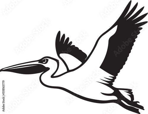 Pelican in flight illustration black and white, Large bird soaring minimal design